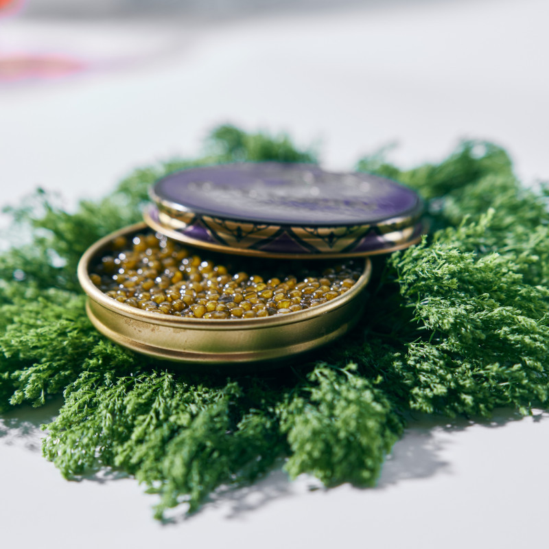 Palladium Osetra Black Caviar