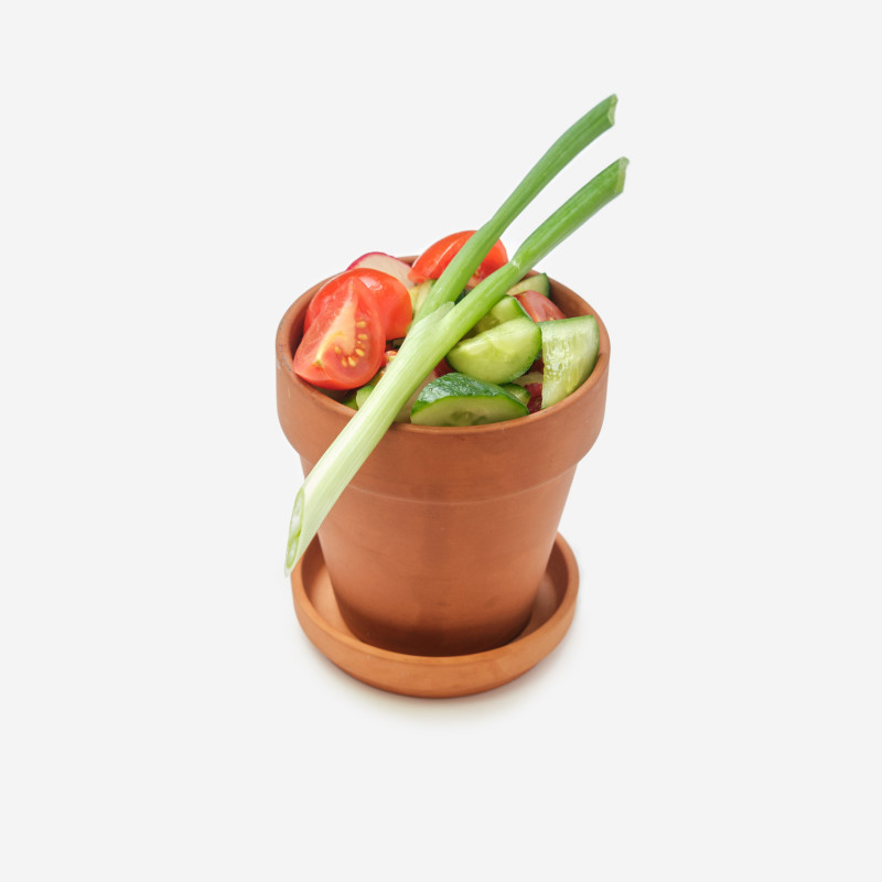 Garden Salad