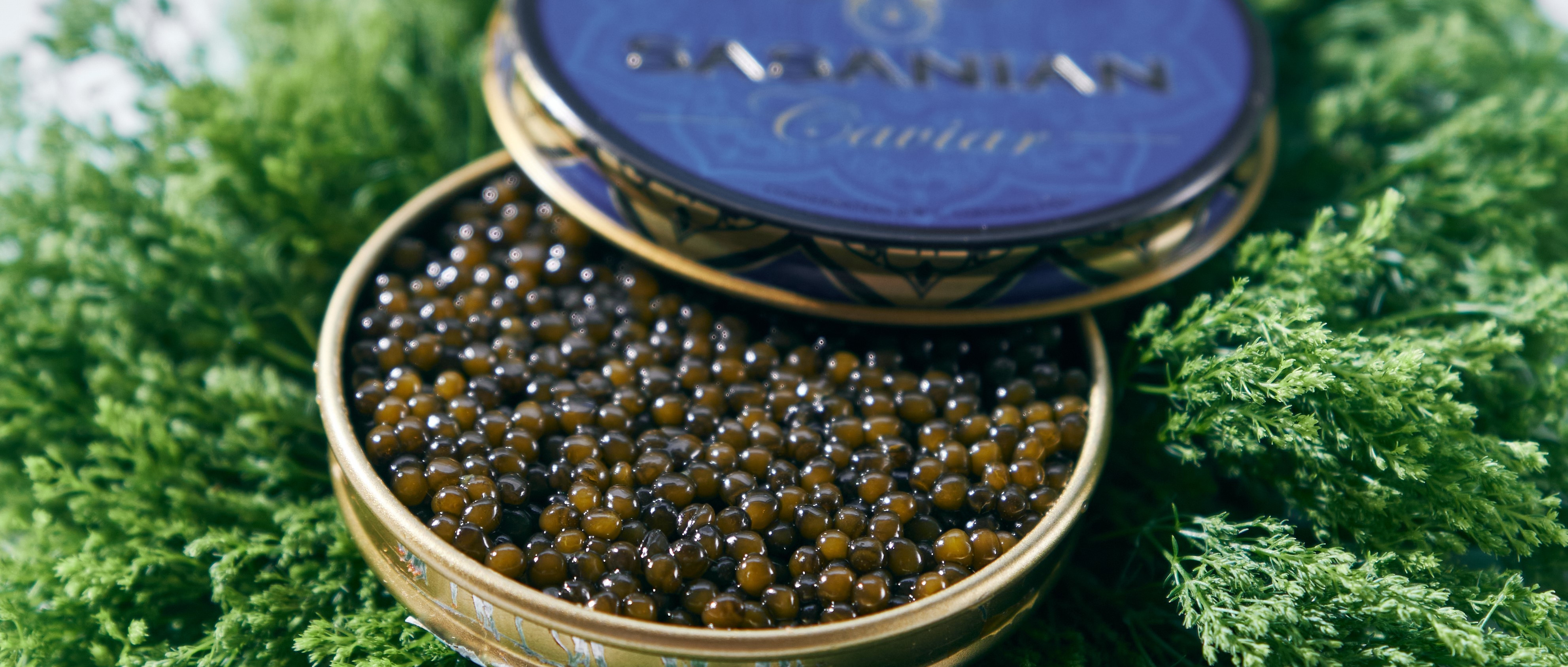 Platinum Osetra Black Caviar (30 gr)